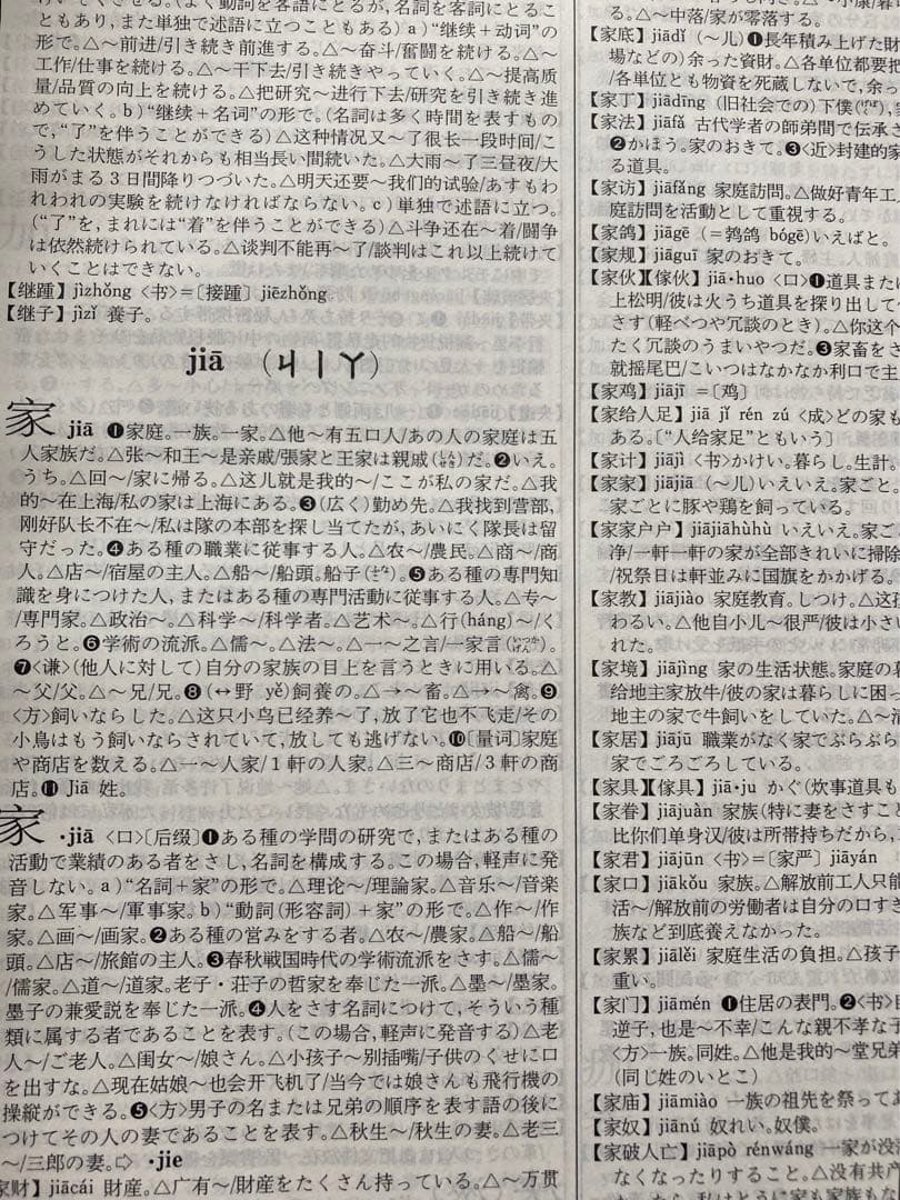 新汉日词典　（新漢日詞典）