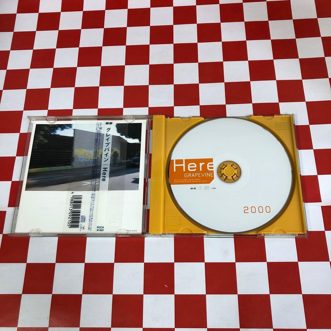 D24648】グレイプバイン/Here - メルカリ