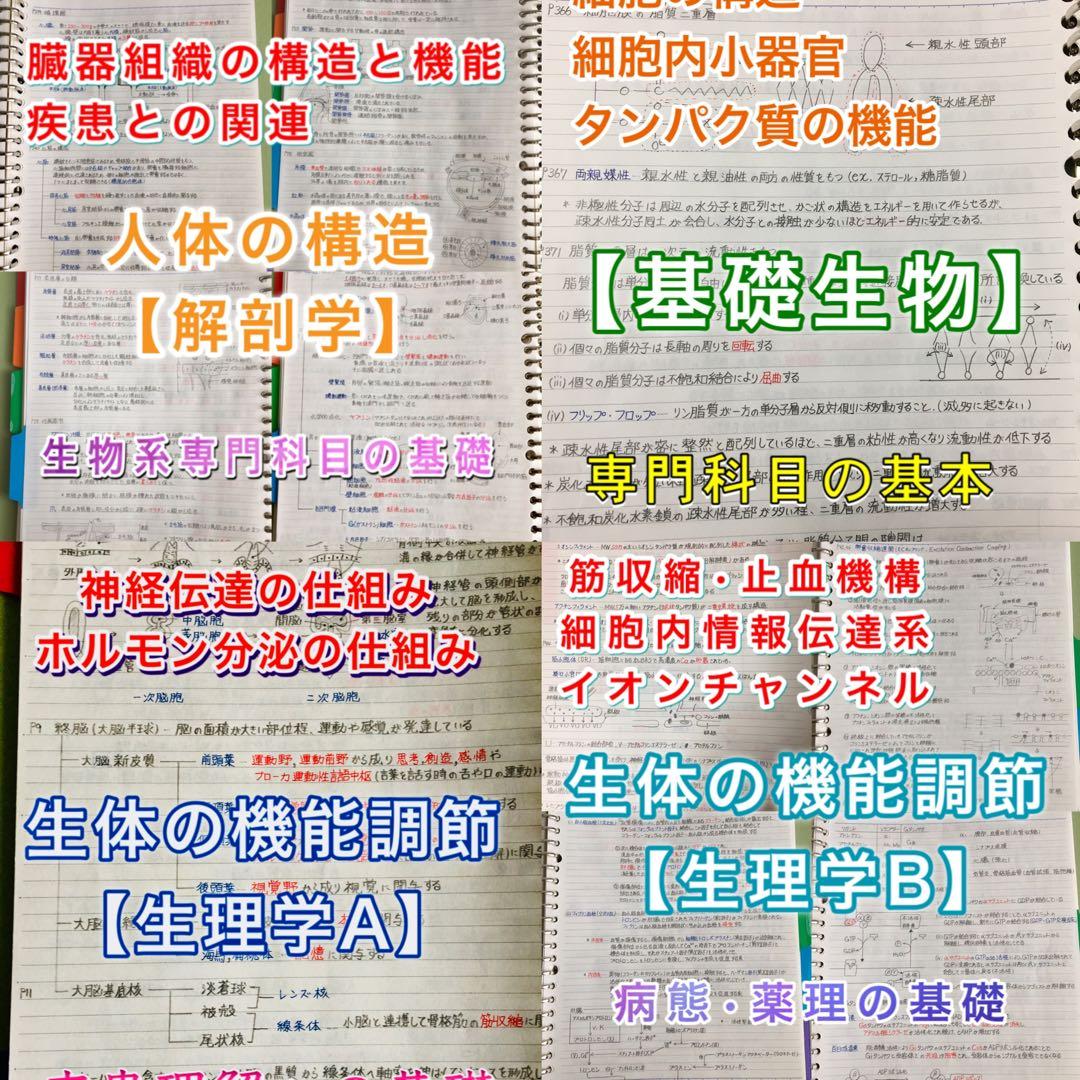 医療系学科定期試験、国家試験対策まとめノート【生物系セット】 医療系学科定期試験、国家試験対策まとめノート【生物系セット