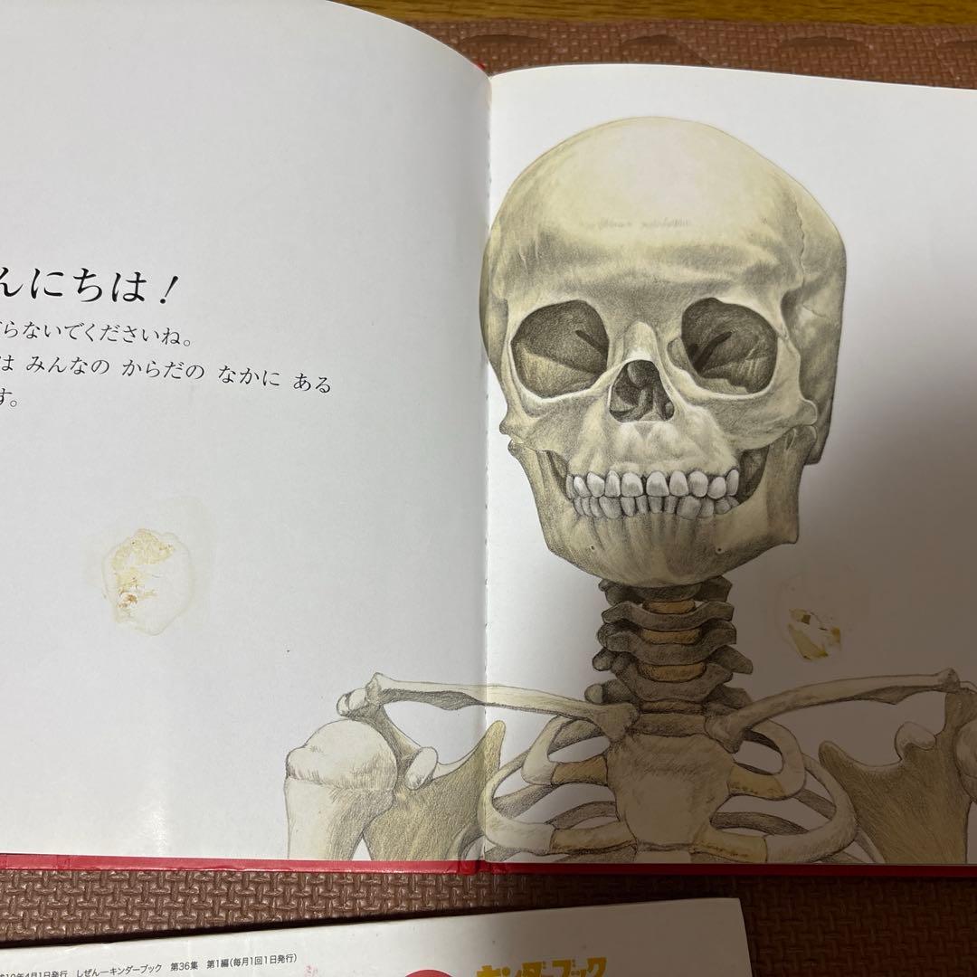 最終値下げ キンダーブックしぜん 37冊