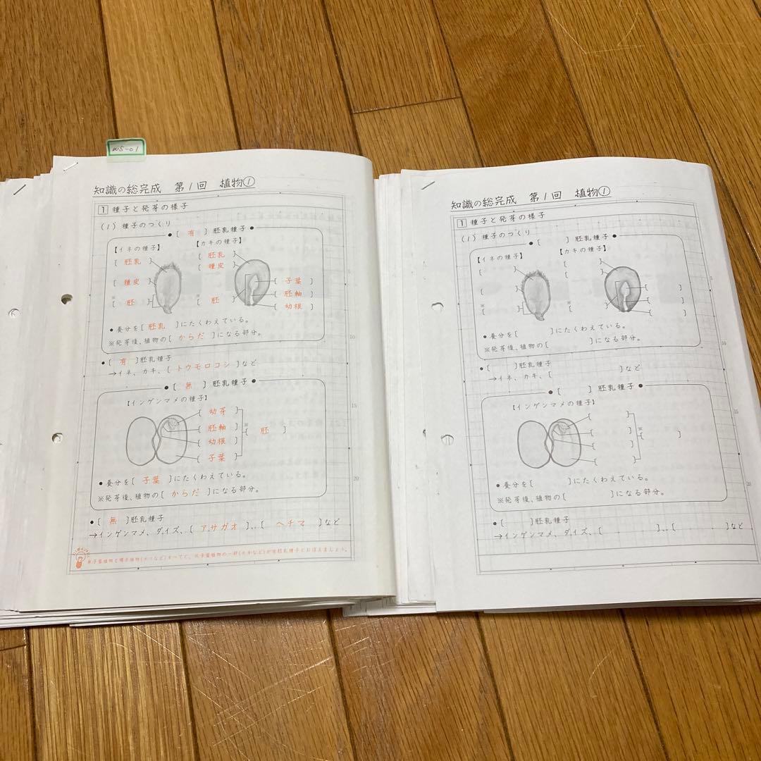 SAPIX サピックス 理科6年 知識の総完成 赤シート 未使用解答用紙付き