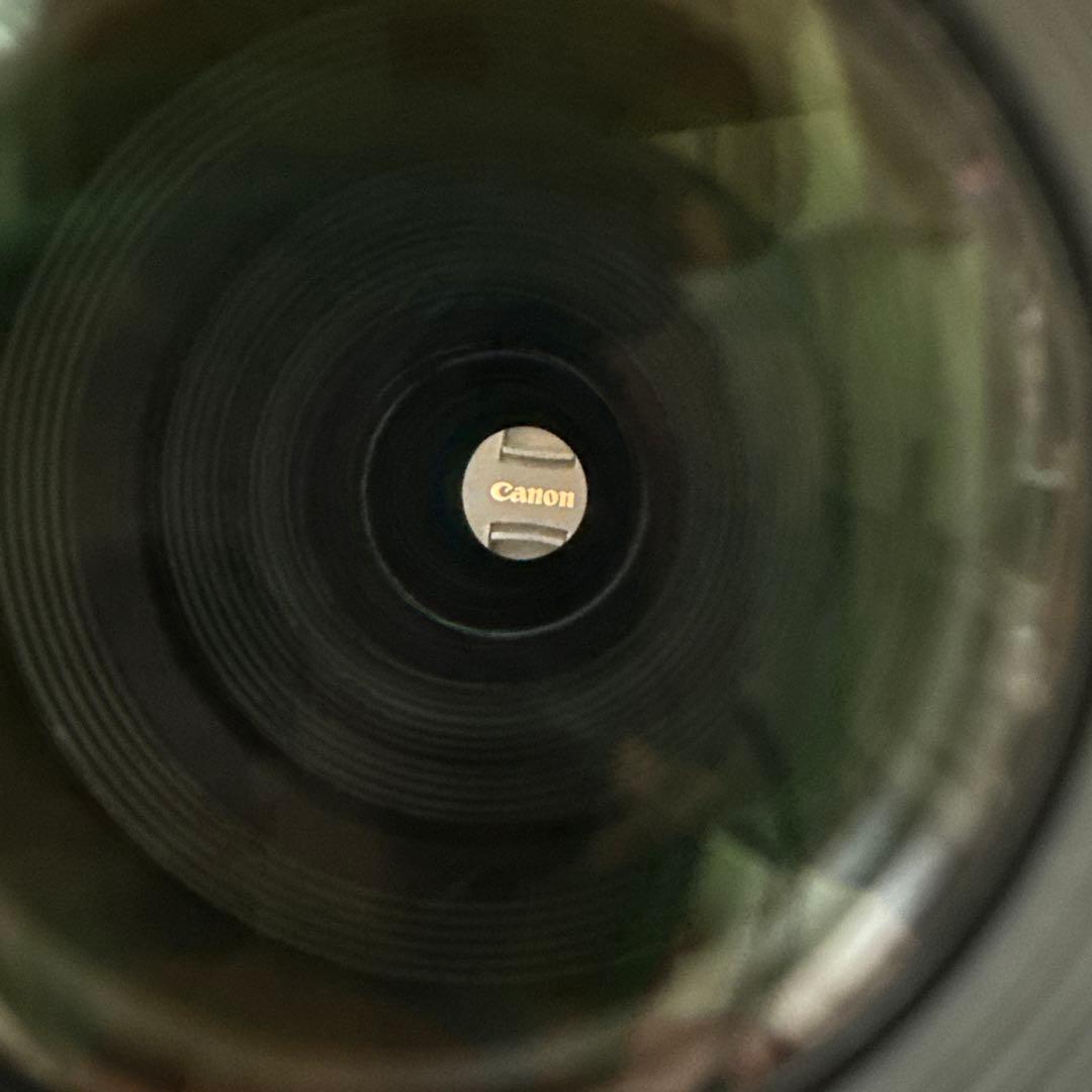 キヤノン EF-M 55-200mm F4.5-6.3 IS STM シルバー