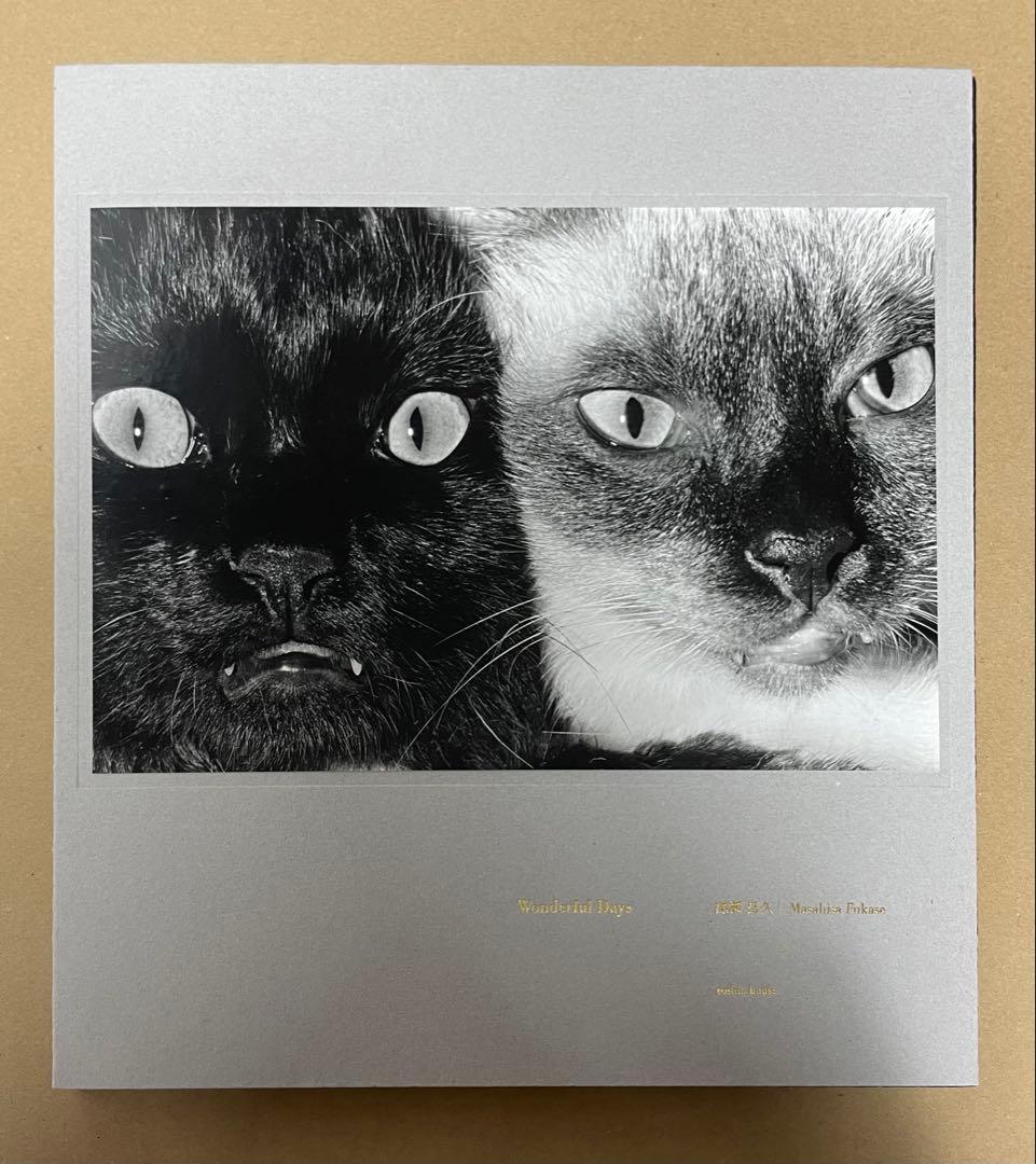 深瀬昌久 写真集 Wonderful Days special edition Wonderful Days special edition - 深瀬昌久 | shashasha 写々者