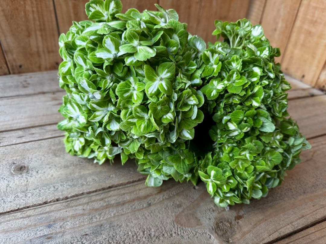 メル32265様 リクエスト 3点 まとめ商品 花様 リクエスト 3点 まとめ商品 - メルカリ