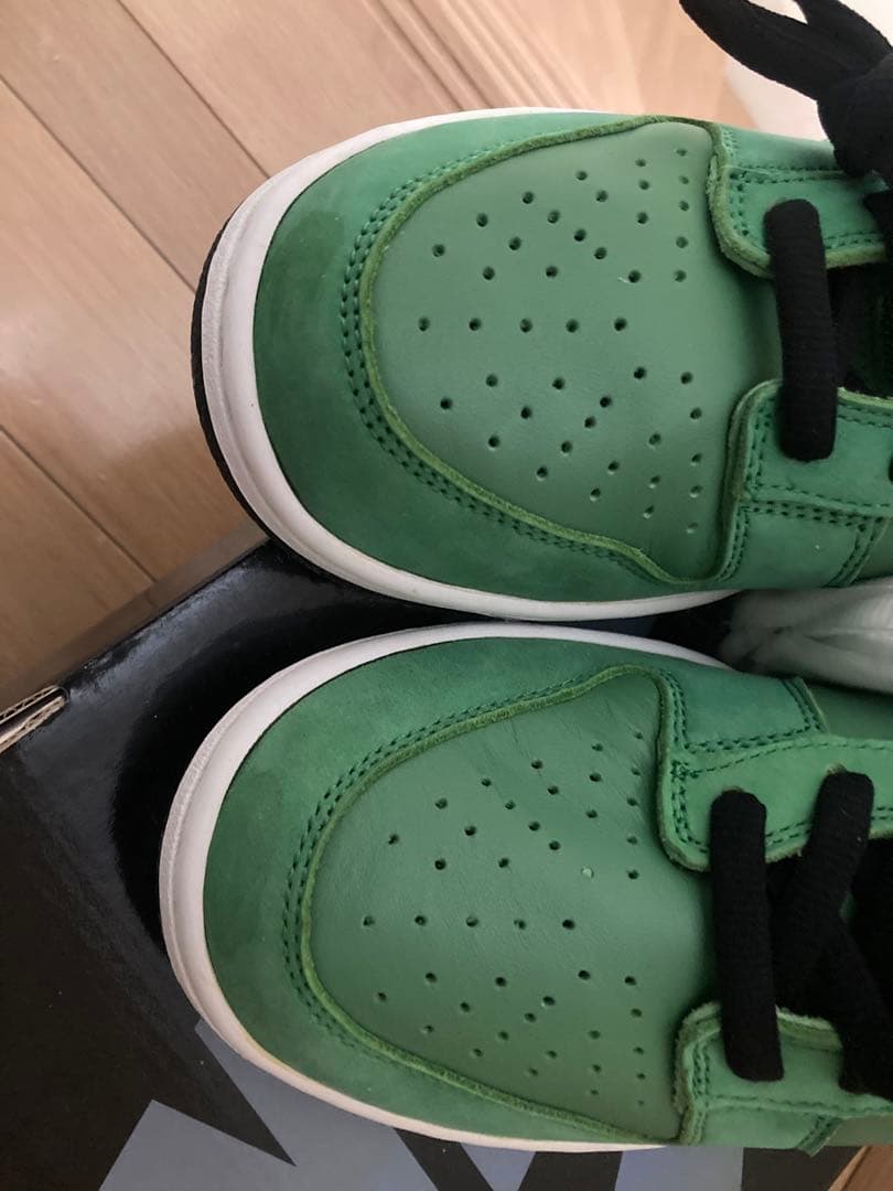 希少※NIKE DUNK PRO SB