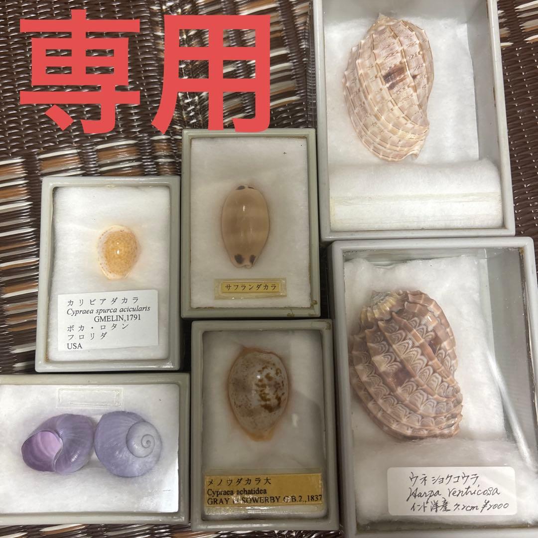 (専用)6点セット ZX225USRLCK-6｜マルチブーム仕様機｜解体｜業種から探す｜商品情報