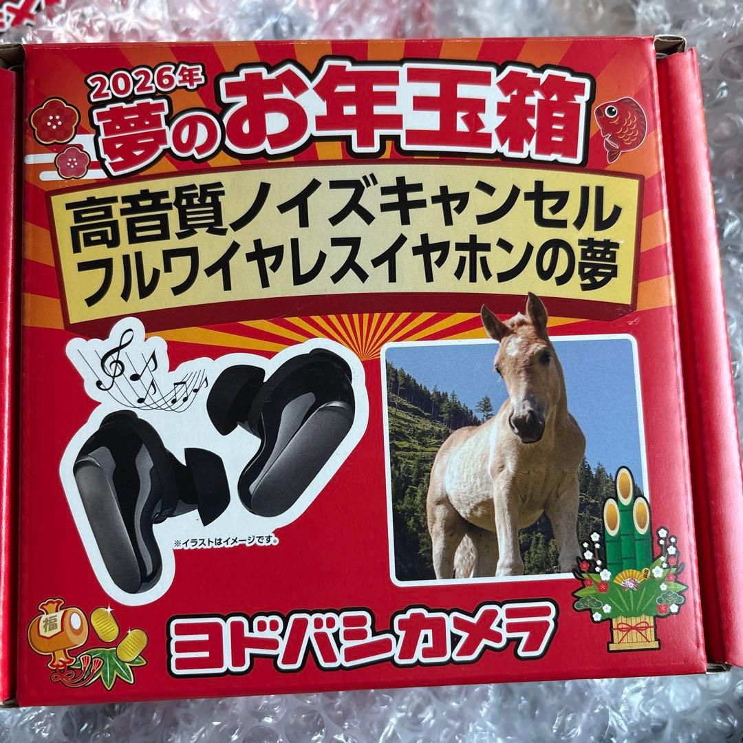 ヨドバシ 夢のお年玉箱2026 高音質ノイズキャンセルフルワイヤレスイ ヨドバシ 夢のお年玉箱2026 高音質ノイズキャンセルフルワイヤレス