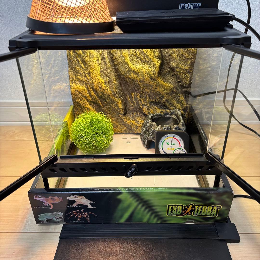 プロフ必読様専用】グラステラリウム3030とその他付随品のセット