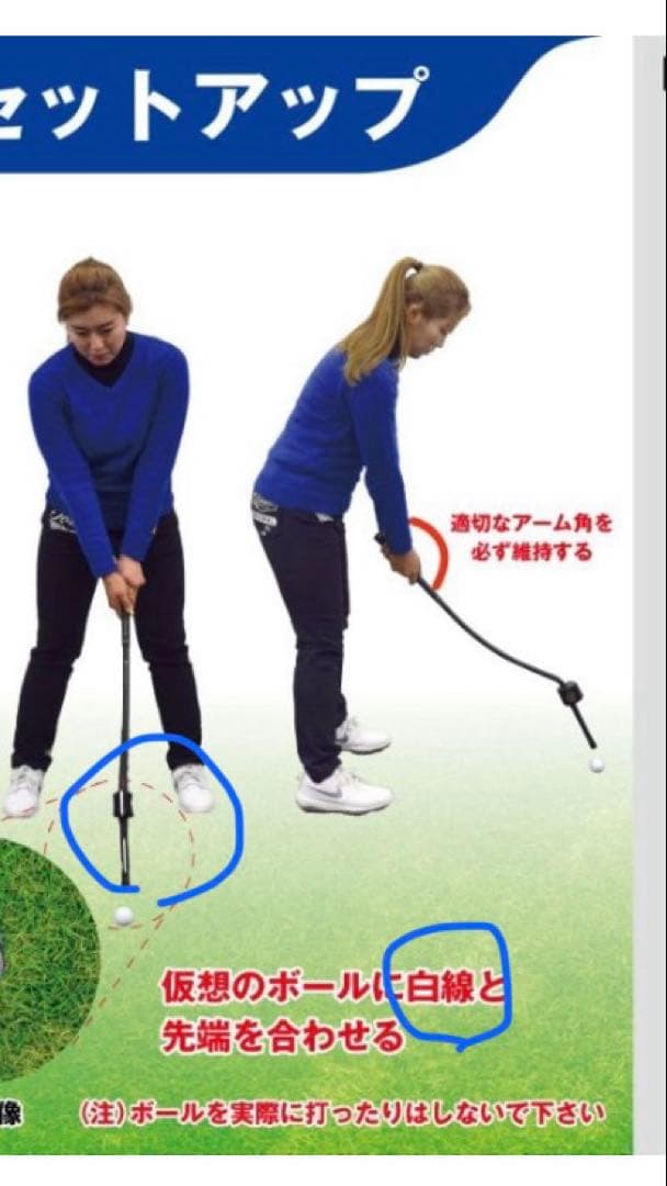 3D Swing Mentor TASK GOLF タスクゴルフ 練習器具 矯 - メルカリ