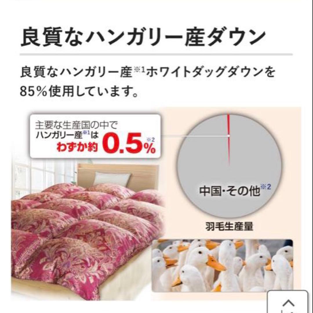 新品未使用品】モリリン エクセルラベル フランス産 羽毛布団 シングル