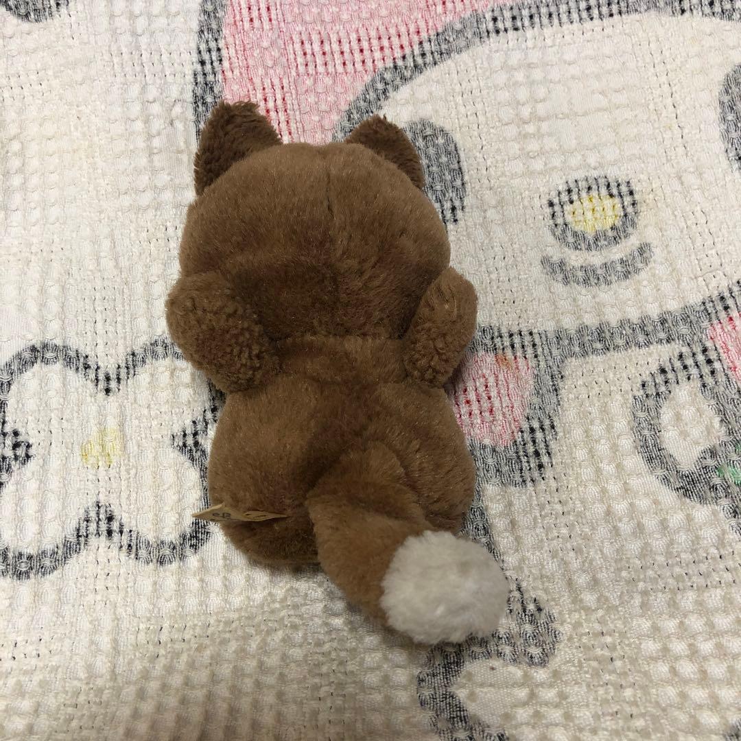 ぬいぐるみの三英 キタキツネ チロンノプ ぬいぐるみ 中古品 ① - メルカリ