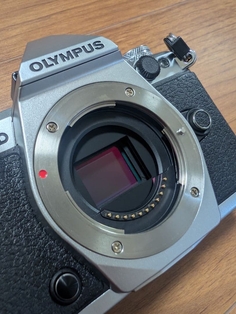 OLYMPUS OM-D E-M5 MarkIIフルセット シャッター回数311 - メルカリ