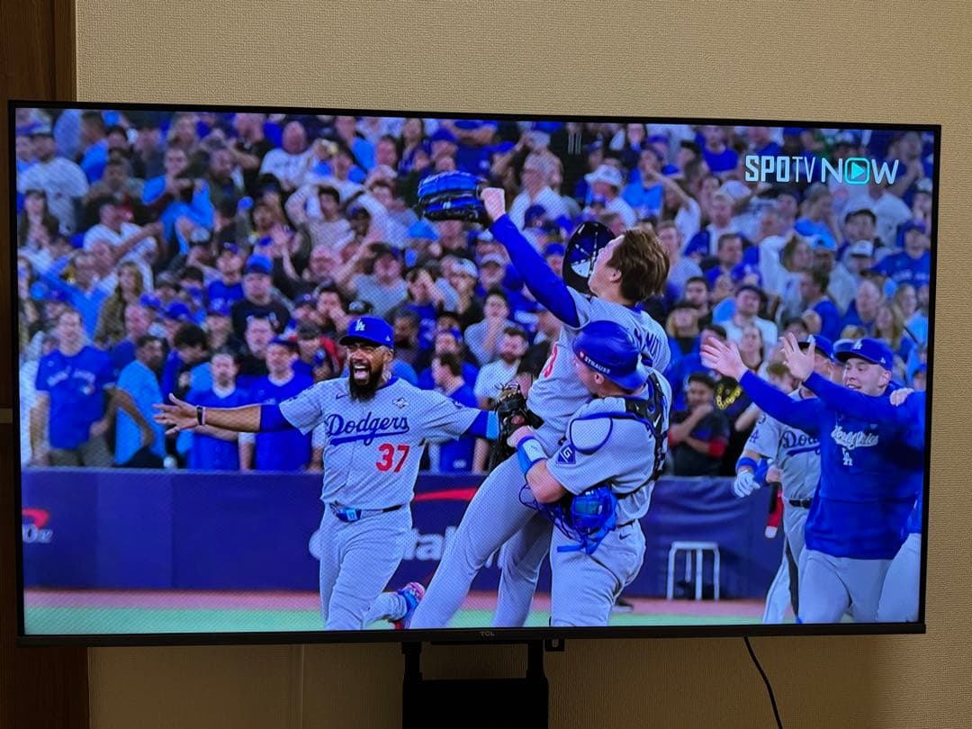 TCL 50P63H 50型 チューナーレステレビ 2023年製 Amazon | TCL 50P63H [50型 チューナーレステレビ] | テレビ 通販