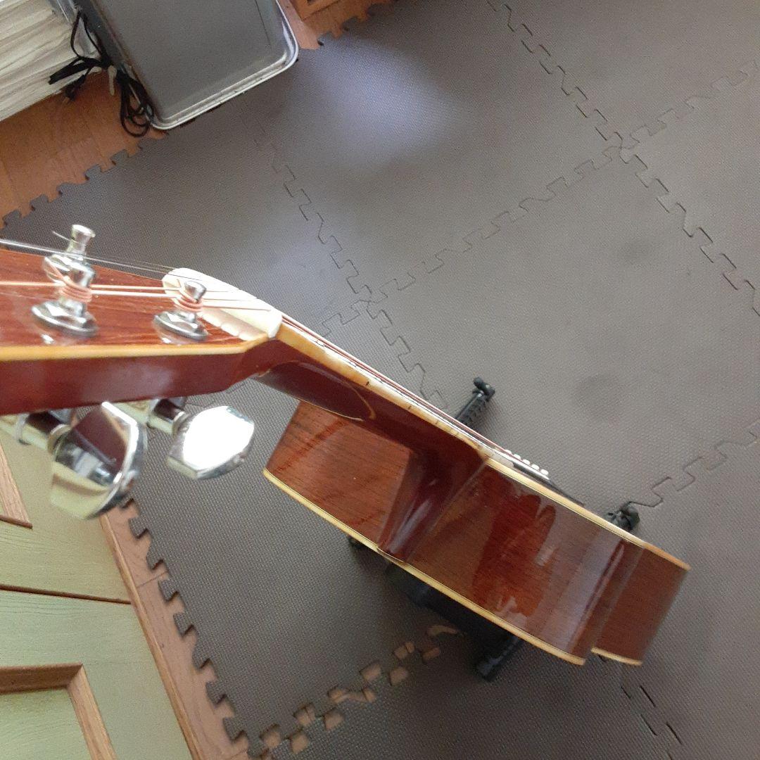 Morris日本製 w30 アコースティックギター ドレッドノートの通販はau