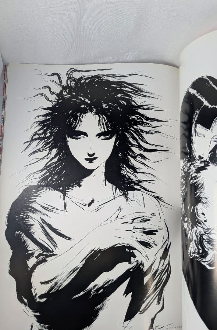 絶版・希少本】天野喜孝 画集 AMANO FIRST 帯付き - メルカリ