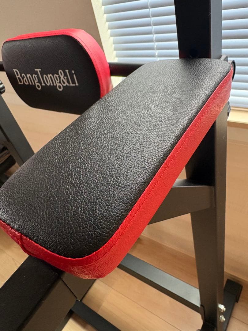 BangTongLi ぶら下がり健康器 黒