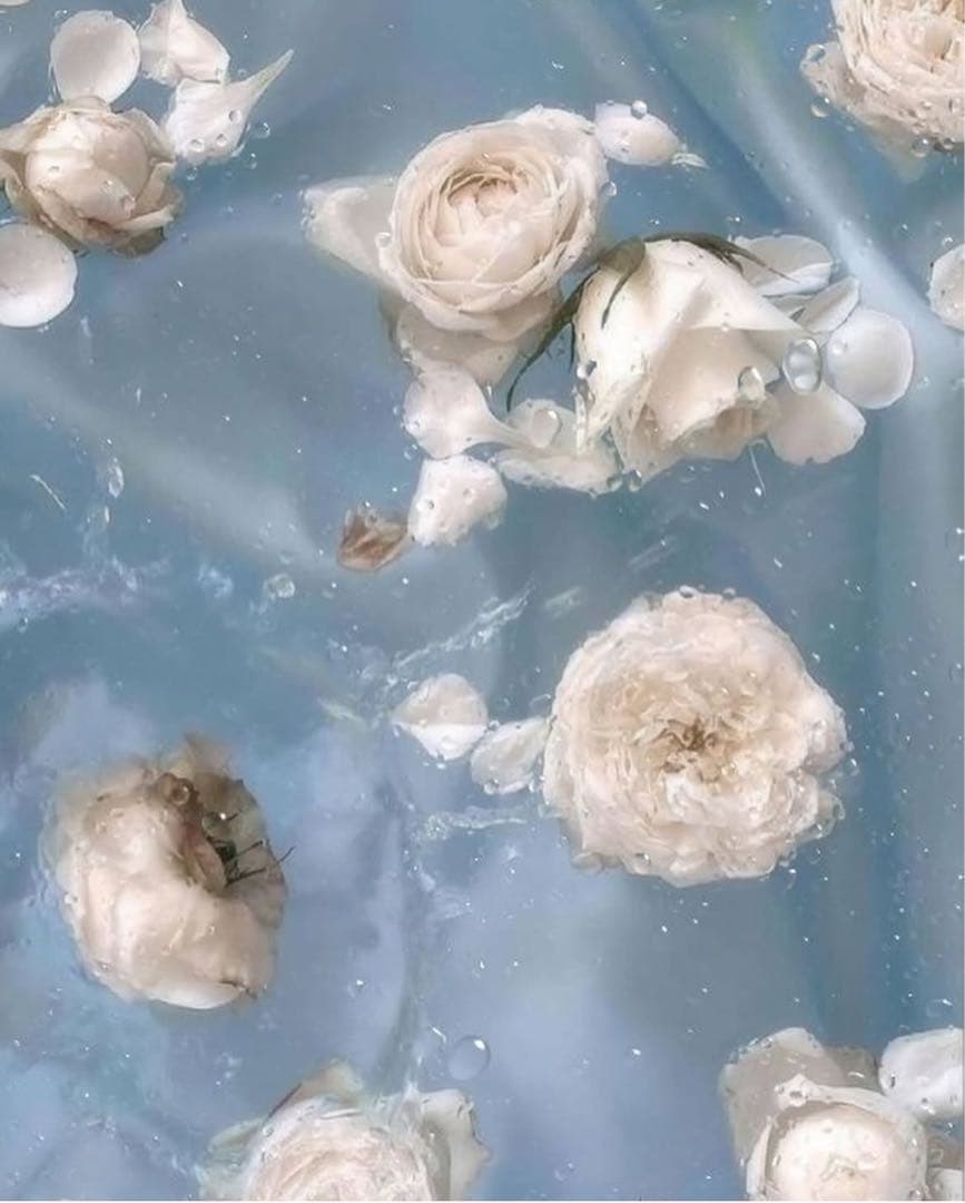 きゃん様オーダー用 Amazon | バイクパーツセンター(Bike Parts Center) リアスポイラー