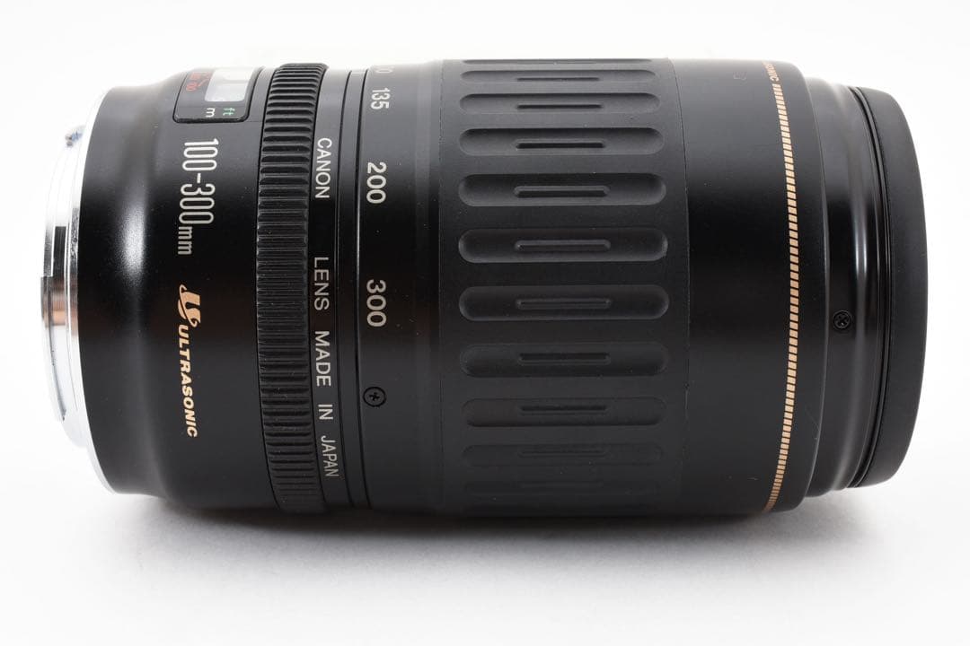 超望遠レンズ Canon EF 100-300mm F4.5-5.6 USM