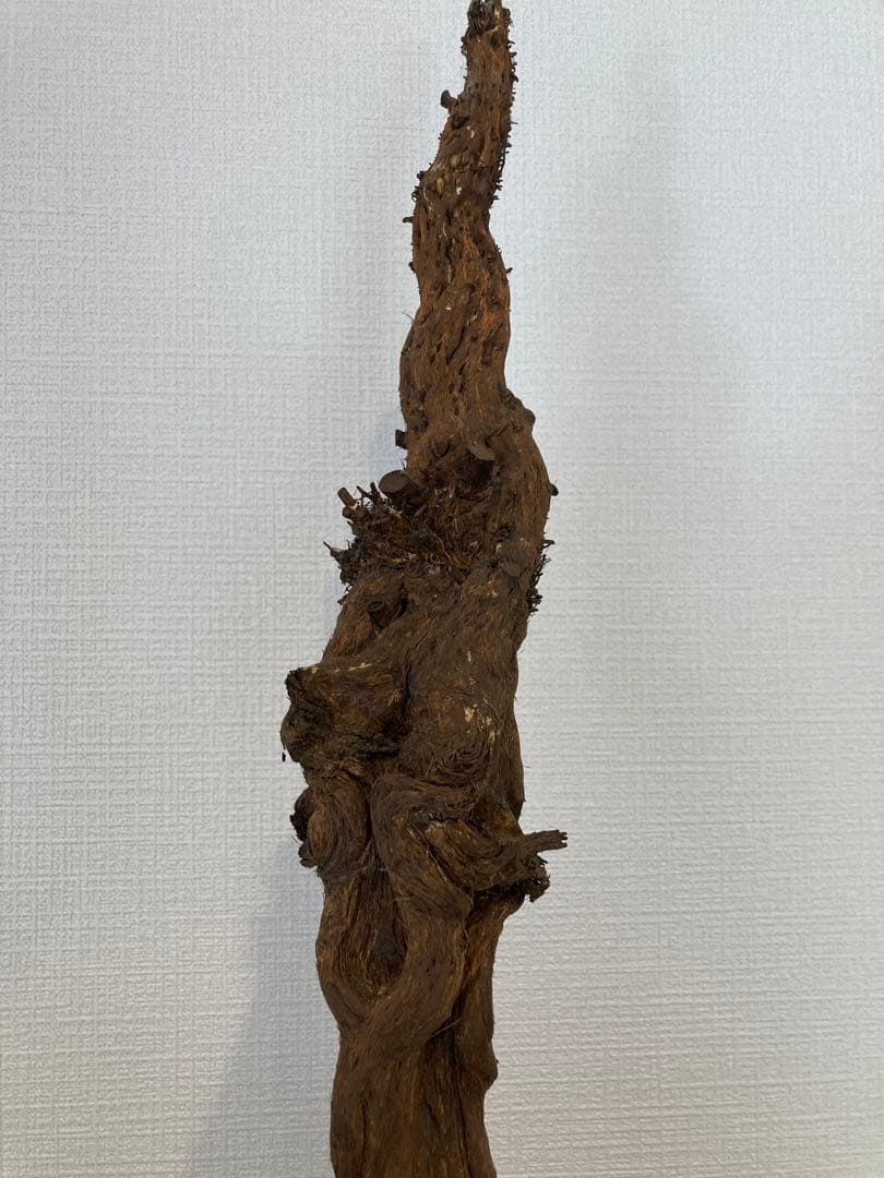 アカザ杖 木製 杖 高さ1900mm 直径31.95mm - メルカリ