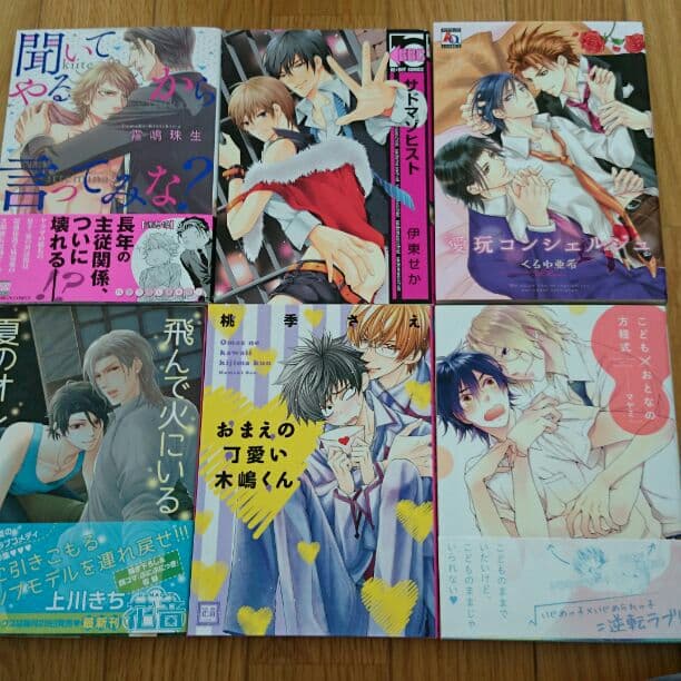 ＢＬコミックー２４冊