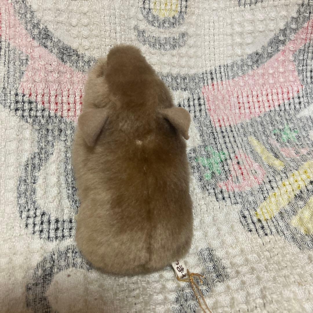 やまね工房 鳴く ナキウサギ ぬいぐるみ タグつき 中古品 - メルカリ