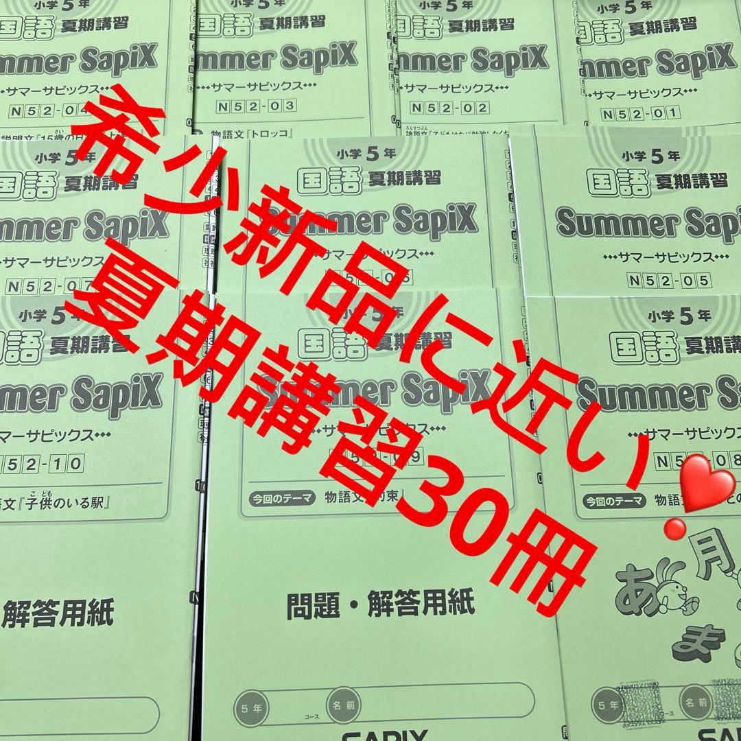 ㉒AC 新品　サピックス　SAPIX 5年　国語　夏期講習　サマーサピックス 2024年度】サピックス 5年 夏期講習 算数 国語 理科 社会