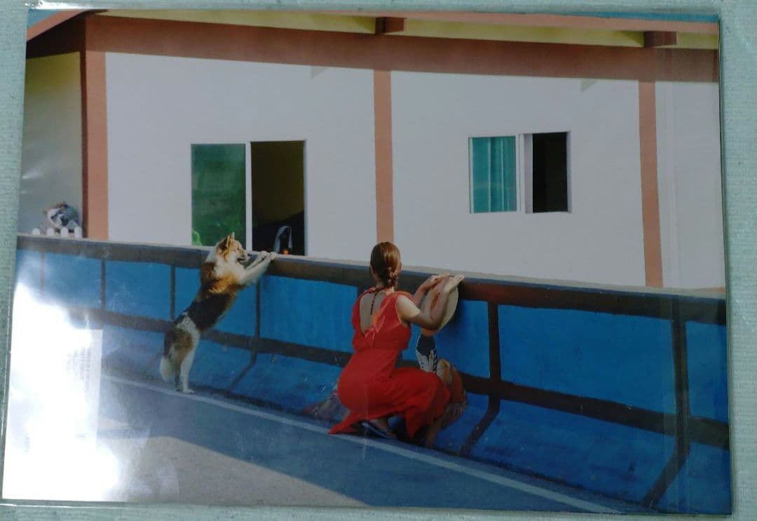 井口裕香カレンダーブック 3冊 B2ポスター サイン入りポストカード 5点セット