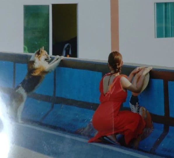 井口裕香カレンダーブック 3冊 B2ポスター サイン入りポストカード 5点セット