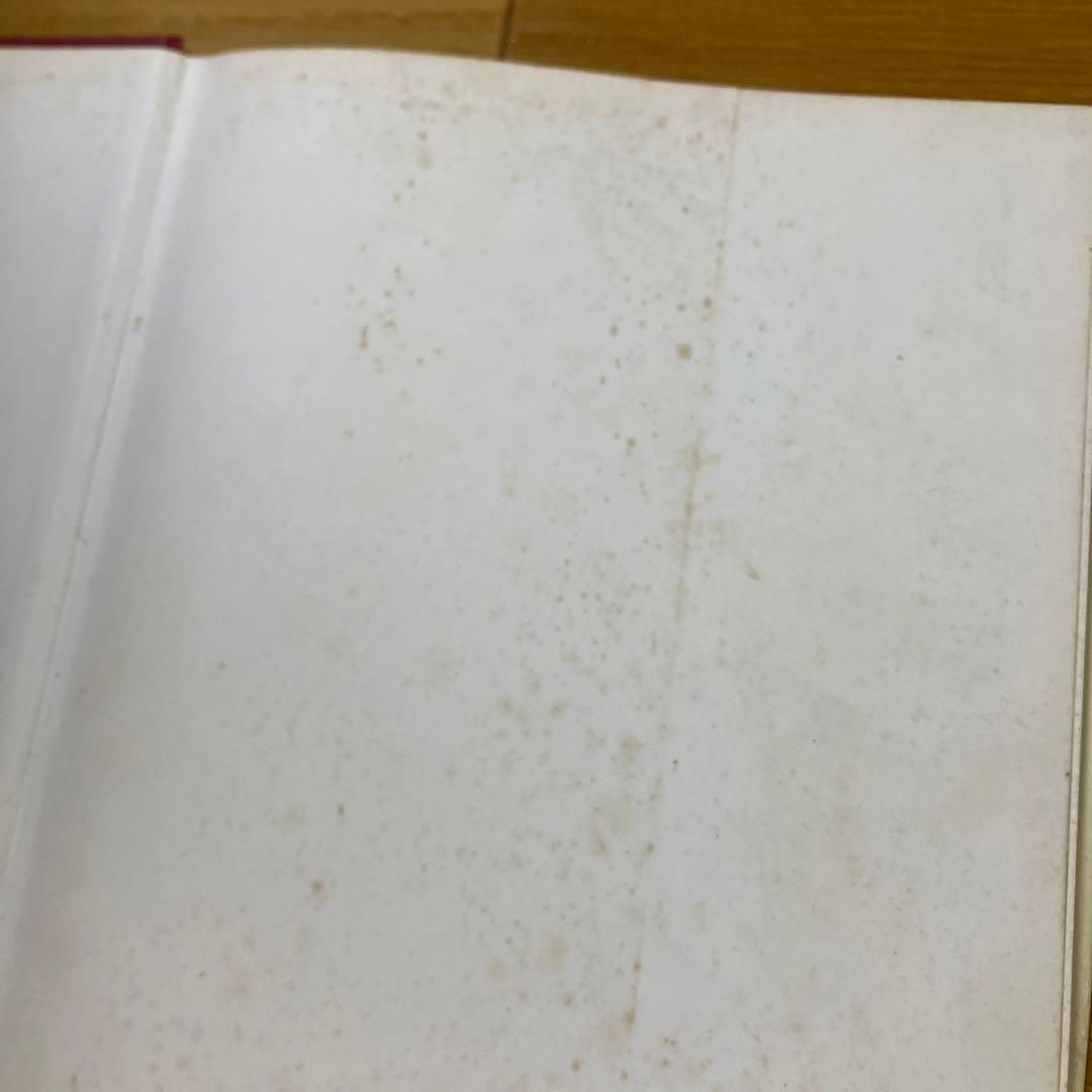 LaTraviata 椿姫写真集ゼッフィレッリイタリア　古本ストラータスドミンゴ