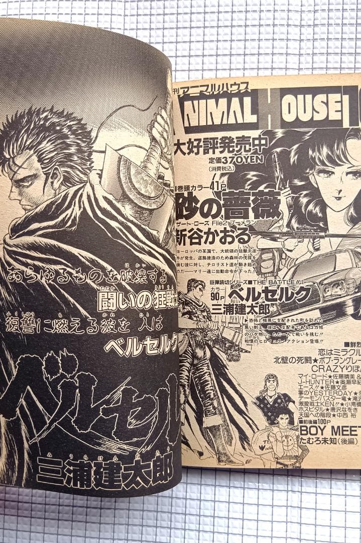 月刊アニマルハウス 特別編集 王狼 凄絶総集編 作 武論尊 画 三浦建