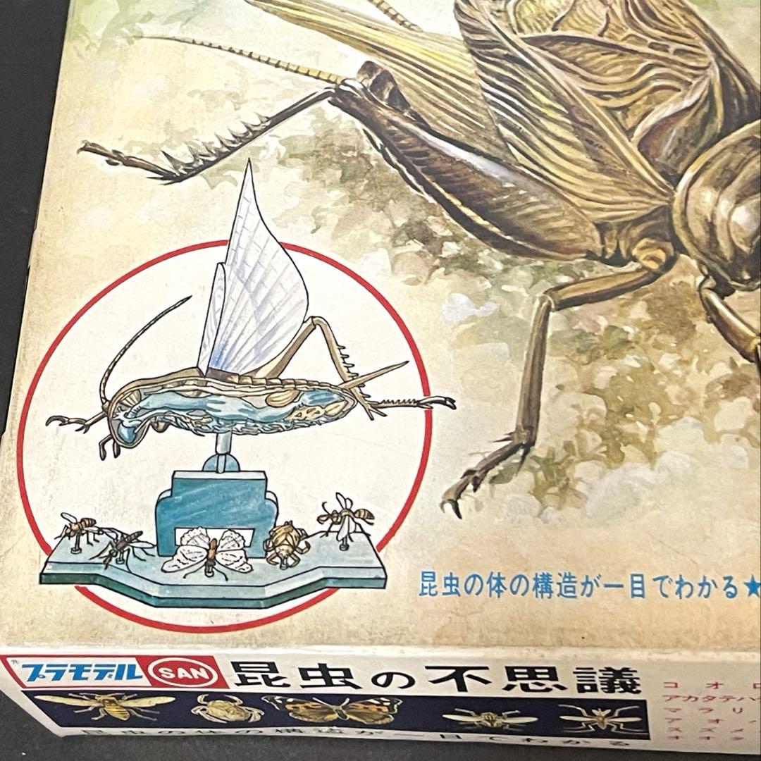 マルサンプラモデル エディショナルシリーズ 昆虫の不思議 絶版