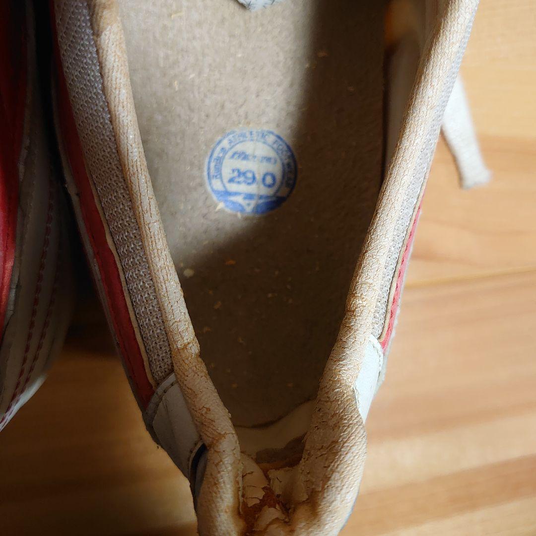 希少　レア物　バレーボール　RUNBIRD　MIZUNO　29.0cm　河合俊一