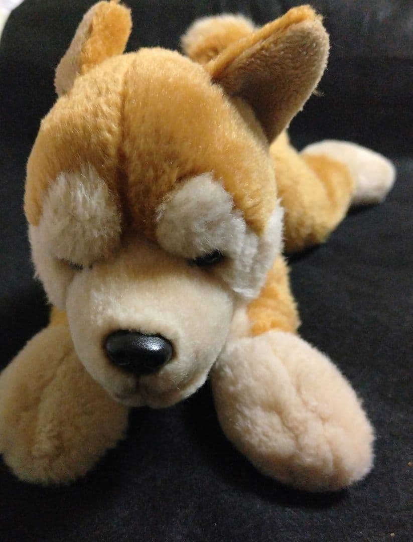 REGALO レガロ リアルドッグコレクション 柴犬 ぬいぐるみ - メルカリ