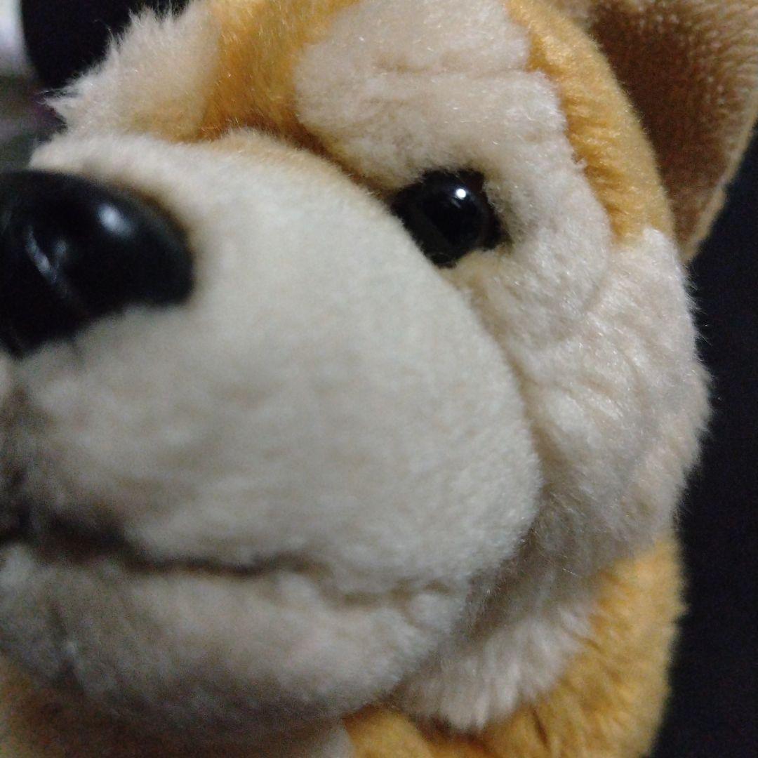 REGALO レガロ リアルドッグコレクション 柴犬 ぬいぐるみ - メルカリ