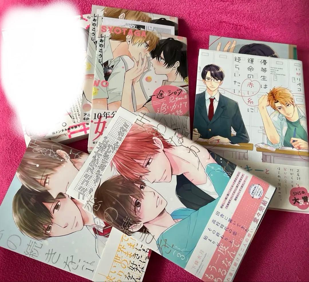 【まとめ売り】BLコミックスいろいろ44冊特典付き