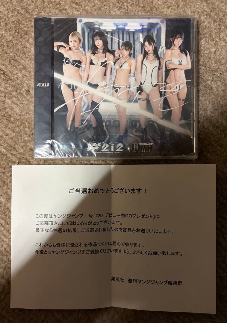 十味セット(おまけ付き) バラ売り不可・値下げは交渉次第！