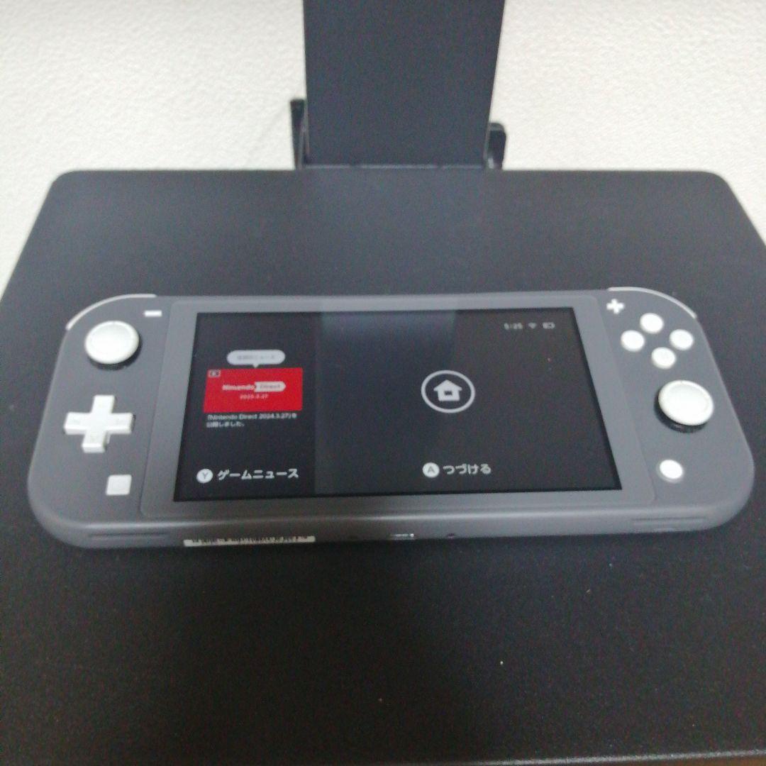 Nintendo Switch Lite グレー 本体 中古品 動作不良なし Nintendo Switch 任天堂 Lite ニンテンドースイッチ ライト ターコイズ