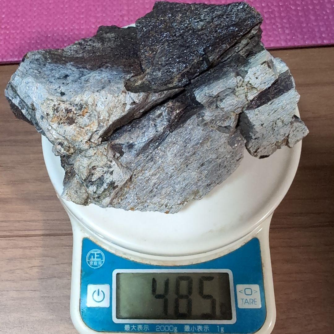 本物 トリケラトプス 特大角化石の一部 ラベル付き 485グラム - メルカリ