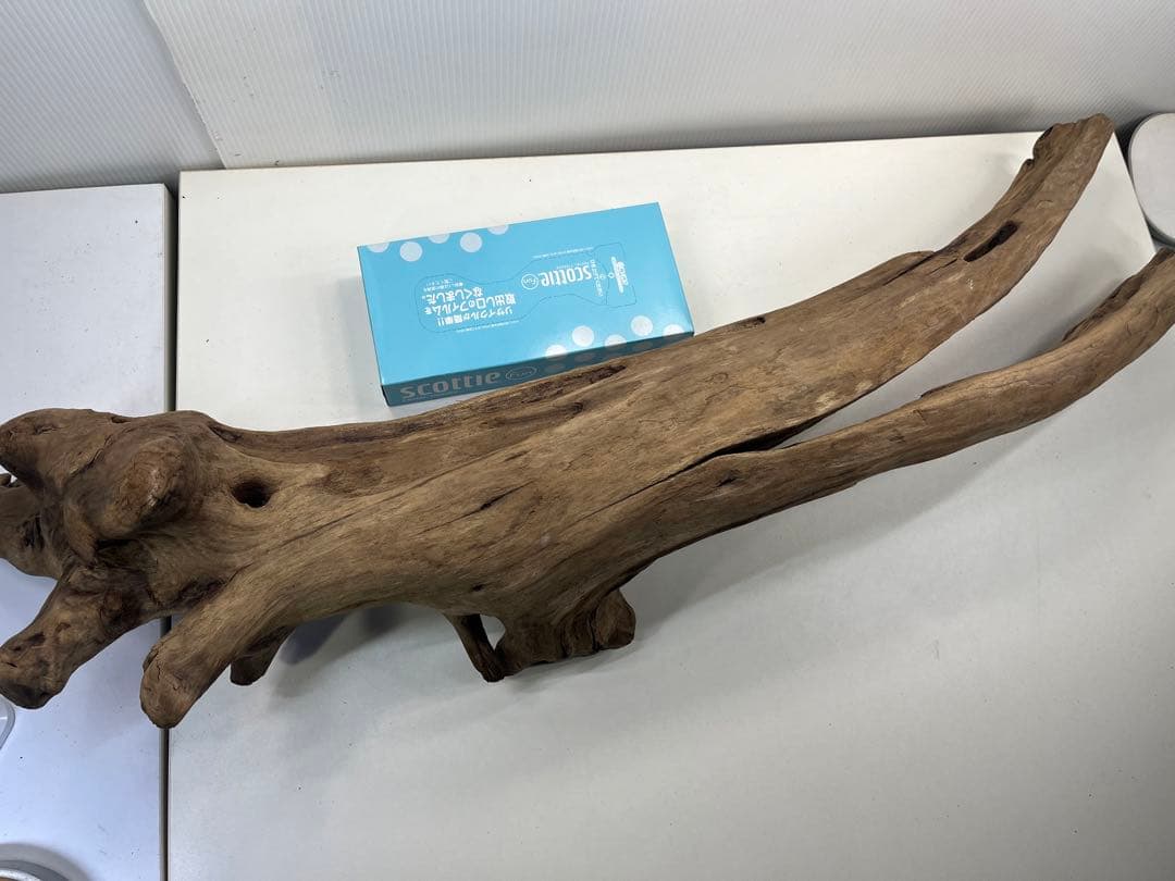 W27特大流木 アク抜き済み流木 爬虫類シェルター 登り木 インテリア