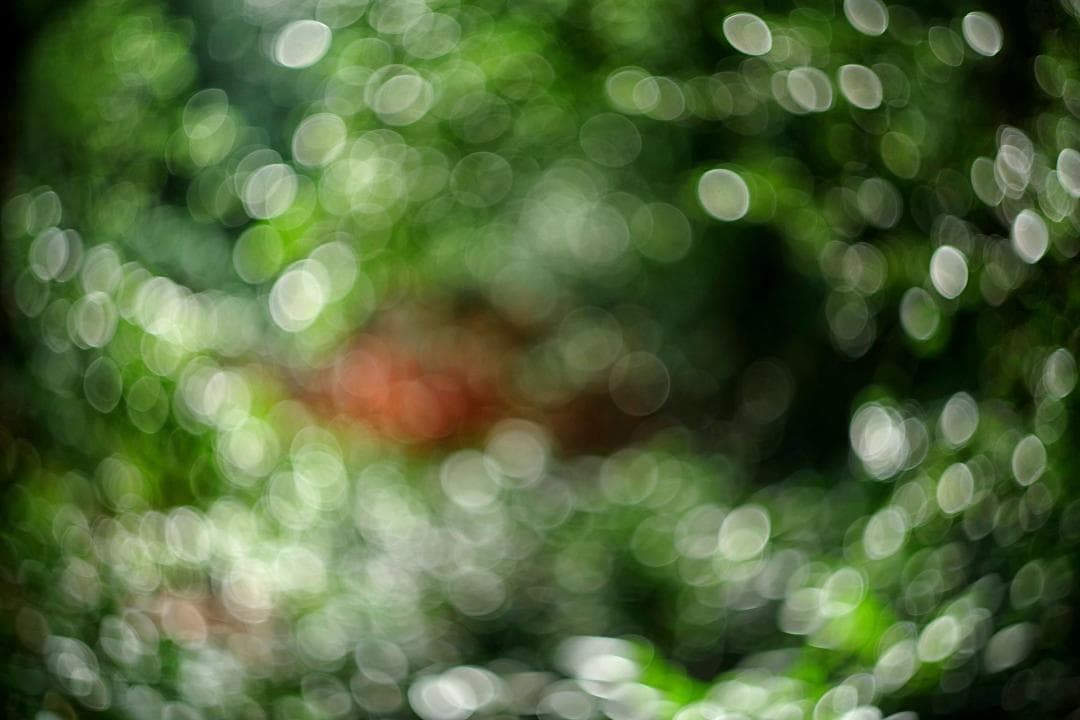 78【希少】初期型 Helios1950年製造 ヘリオス44 アダプター付 - メルカリ