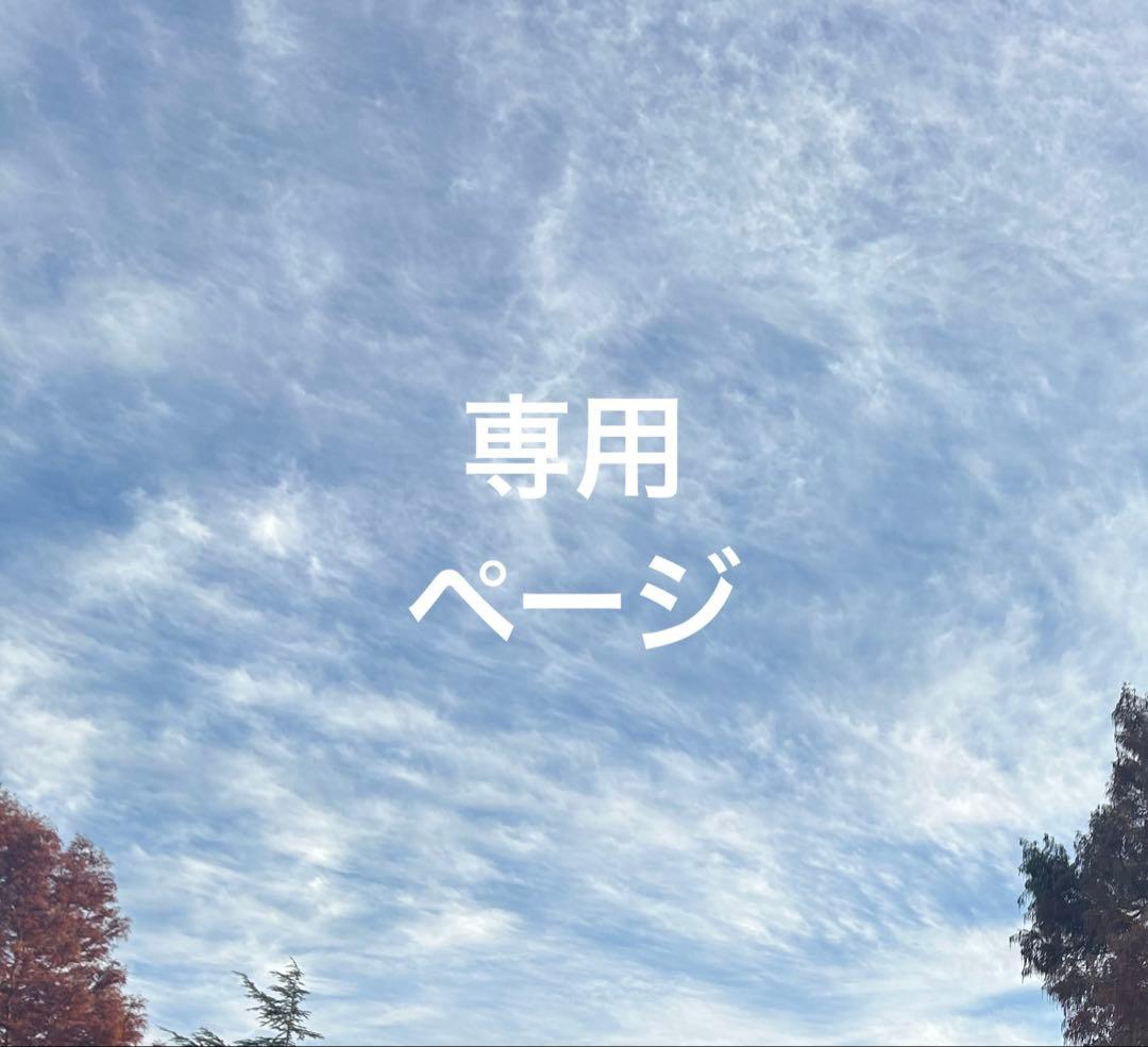 はるぴょん様 リクエスト 2点 まとめ商品 うさぴょん様 リクエスト 2点 まとめ商品 - メルカリ