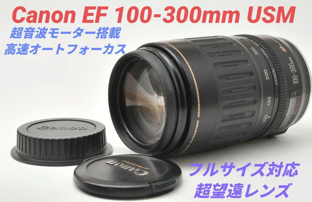 ✨最終価格✨Canon EF 100-300mm 超望遠ズームレンズ