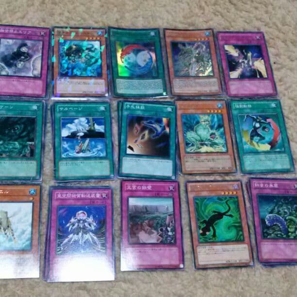 遊戯王 引退 バラOK 返り咲く薔薇の大輪 | カード詳細 | 遊戯王ニューロン(オフィシャル