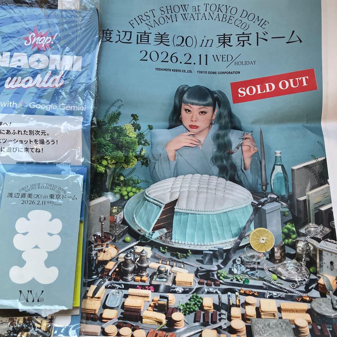 7点 渡辺直美 東京ドーム ライブ うにょ席限定グッズ 銀テ ファイル 他