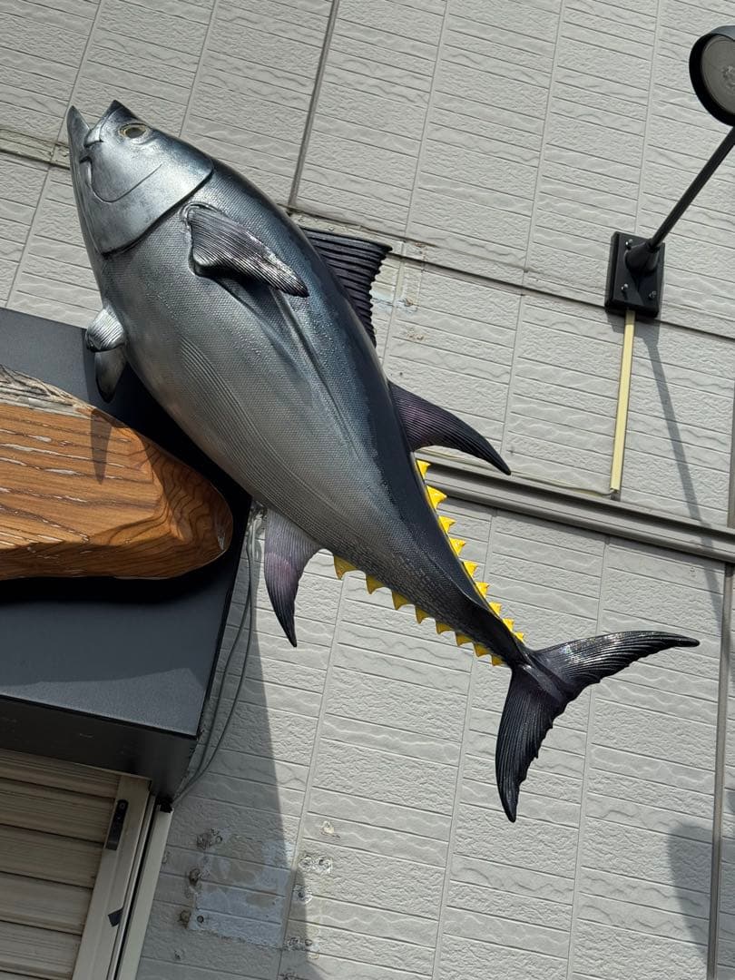 リアルマグロ立体オブジェ 約1m？ 寿司看板一番人気マグロオブジェ1m90cm、迫力と注目度満点でお客様を