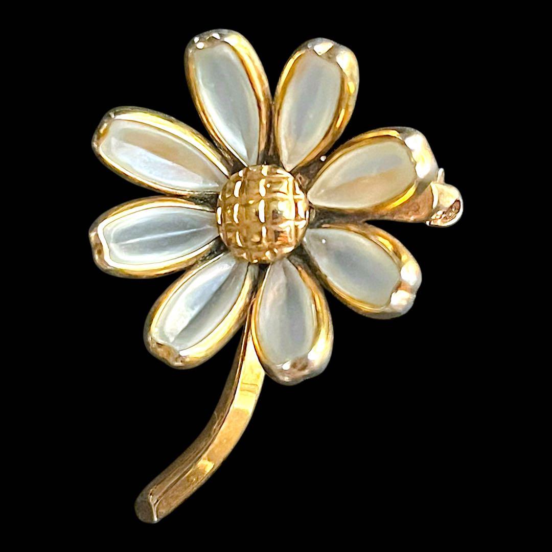 ☆ちょこすけページ☆