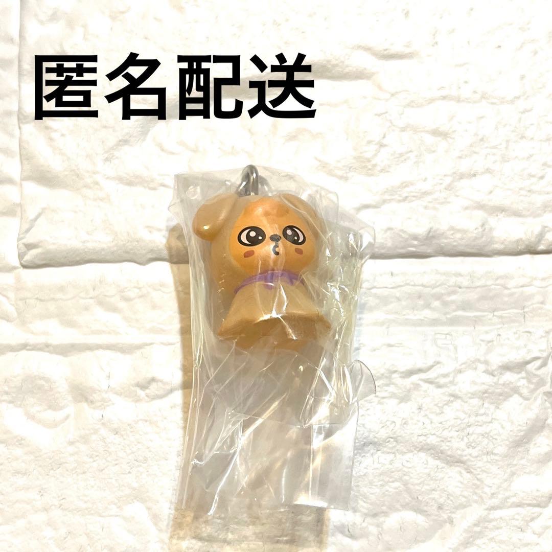 straykids skzoo PuppyM パピーム めじるしアクセサリー - メルカリ