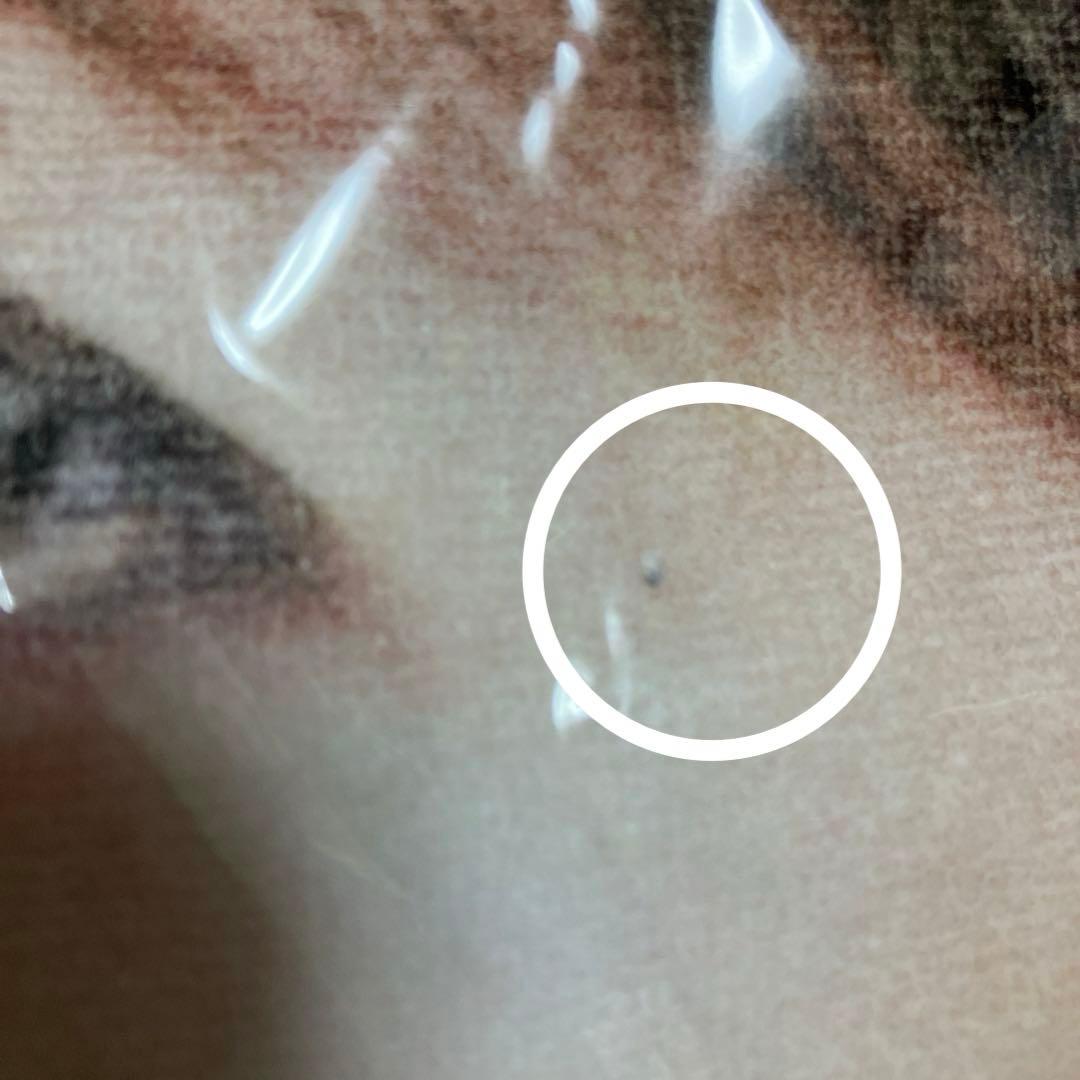 GACKT グッズ まとめ売り②非売品 タペストリー タオル パズル