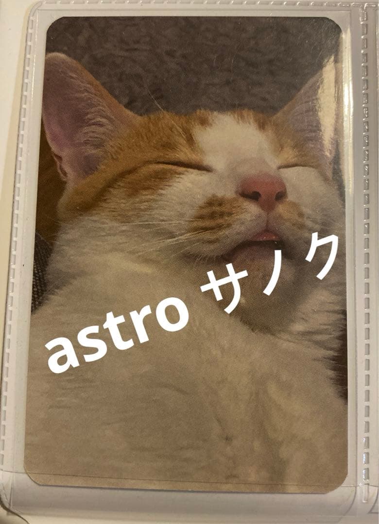 astro ユンサナ サノク トレカ 猫 - メルカリ
