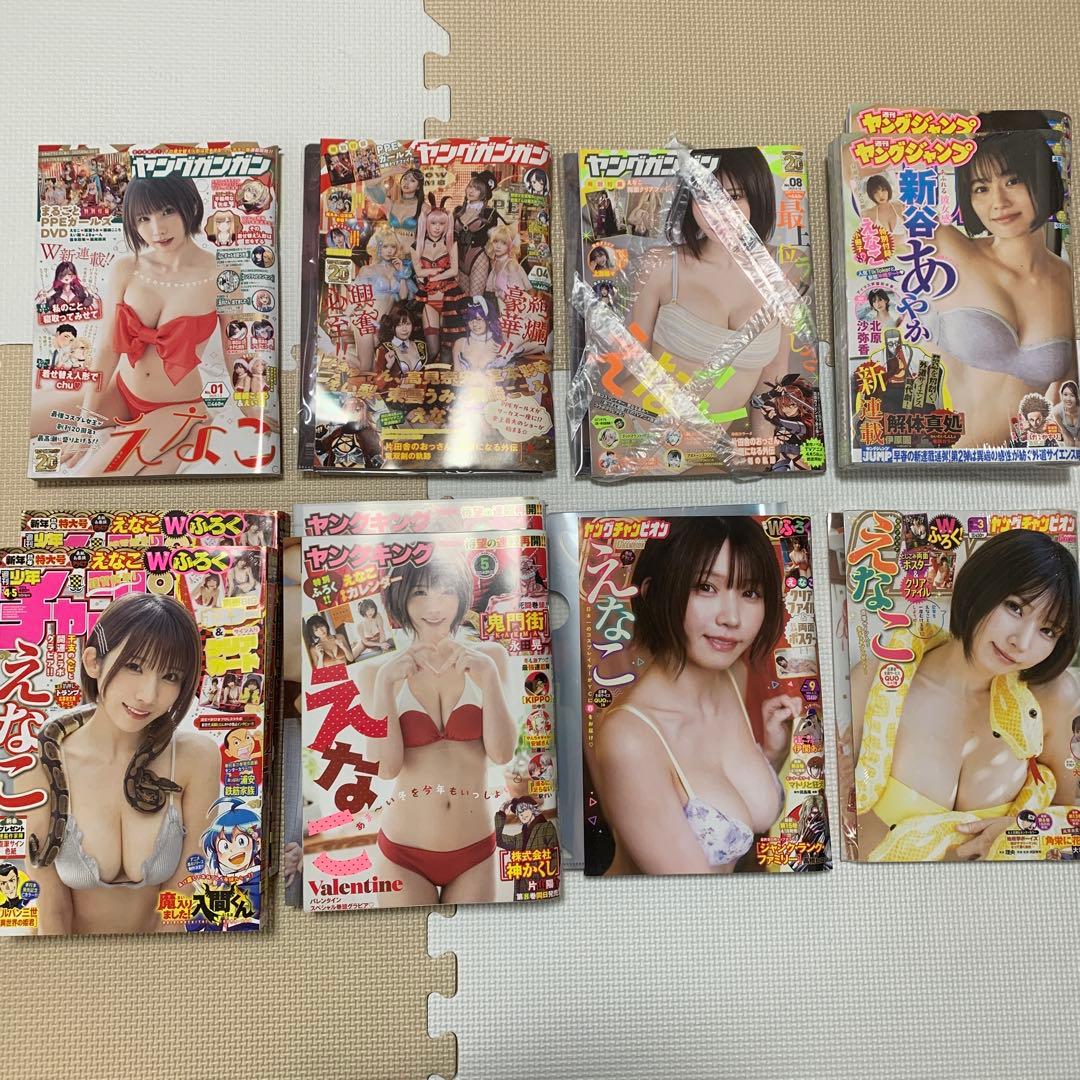 えなこ　雑誌11冊セット